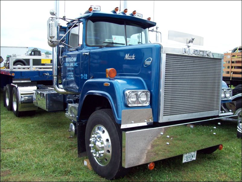 ATHS  Truck Show 2009 131